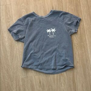 Brandy Melville Blue and White Short Sleeve Tee